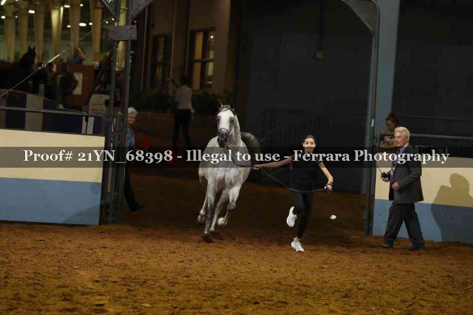 Proof 21YN_68398
