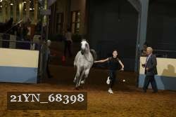 21YN_68398 proof