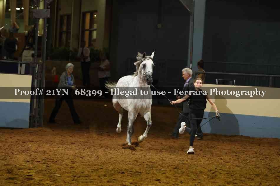 Proof 21YN_68399