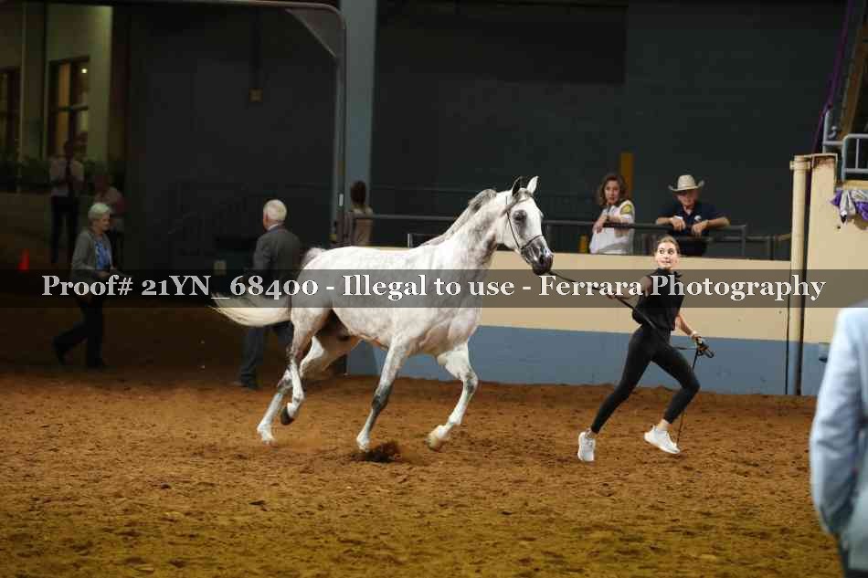 Proof 21YN_68400