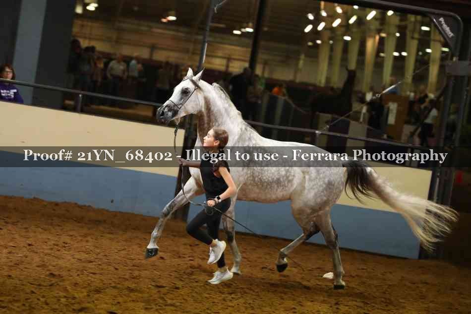 Proof 21YN_68402