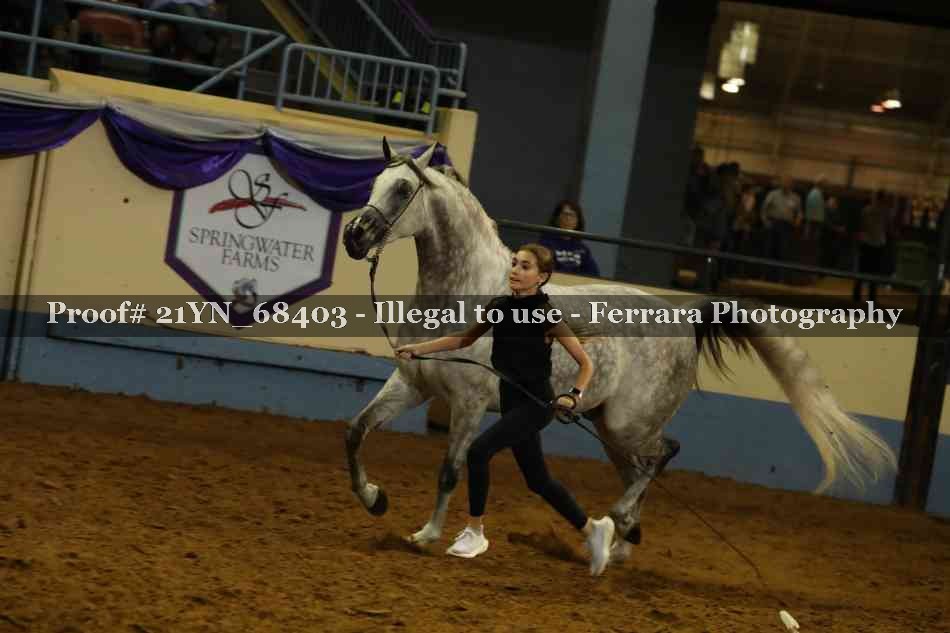 Proof 21YN_68403