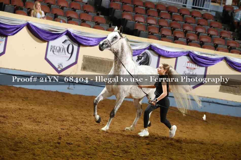 Proof 21YN_68404