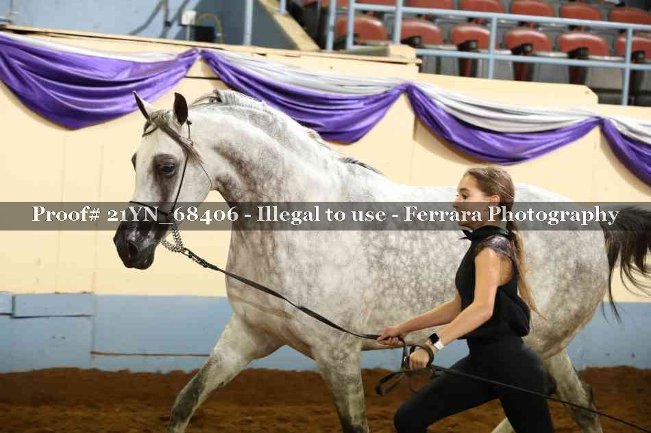 Proof 21YN_68406