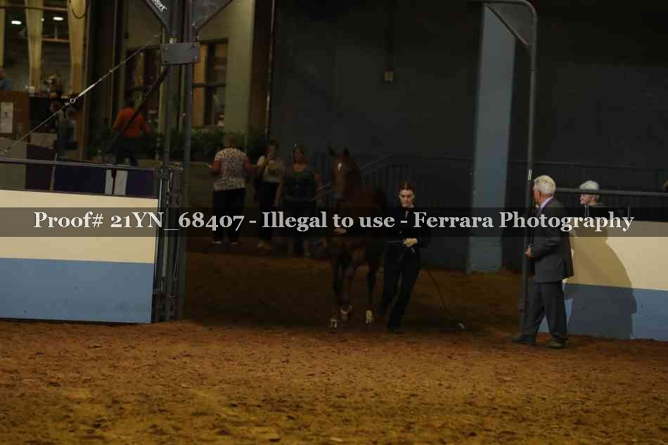 Proof 21YN_68407