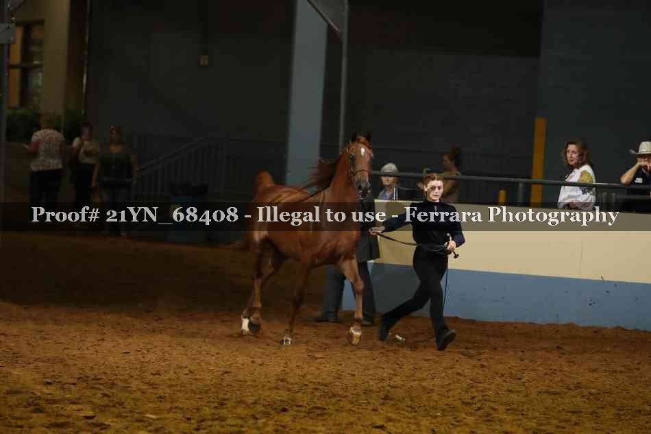 Proof 21YN_68408