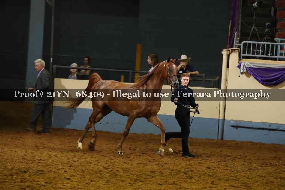 Proof 21YN_68409