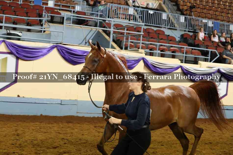 Proof 21YN_68415