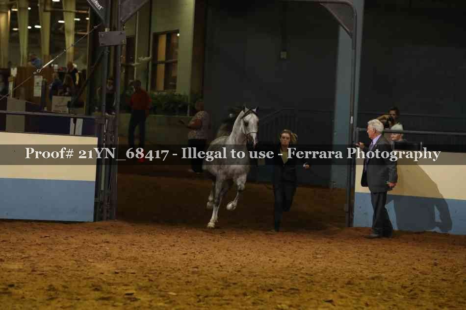 Proof 21YN_68417
