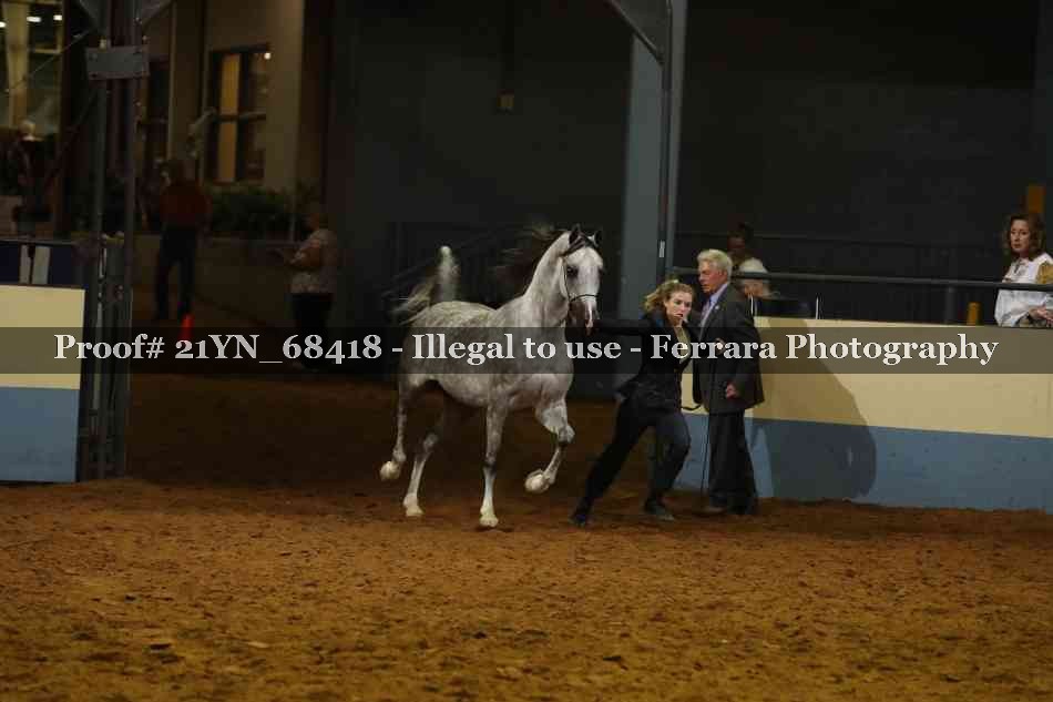 Proof 21YN_68418