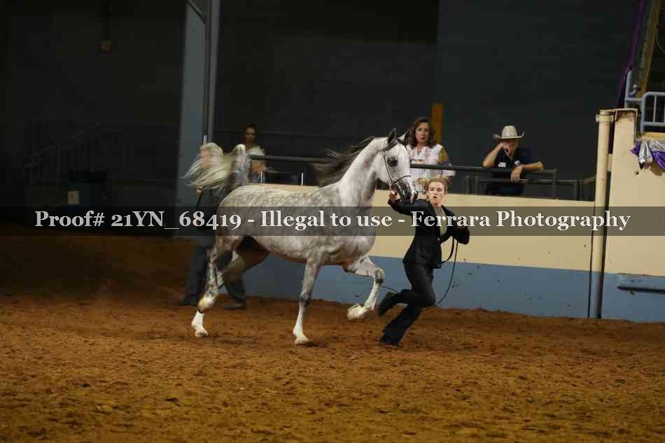 Proof 21YN_68419
