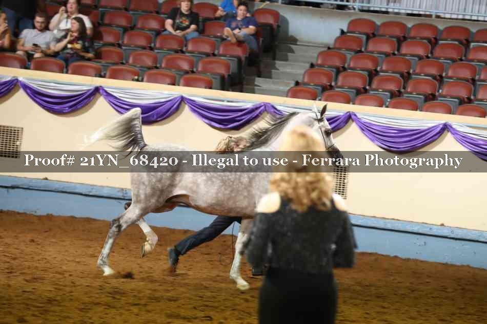Proof 21YN_68420