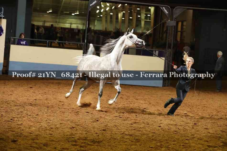Proof 21YN_68421