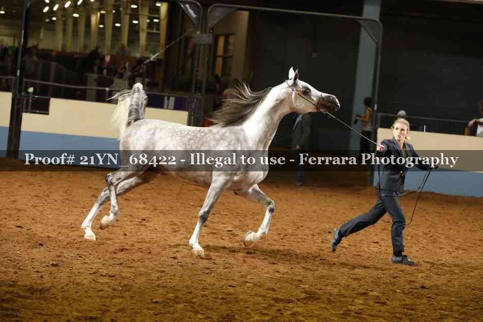 Proof 21YN_68422