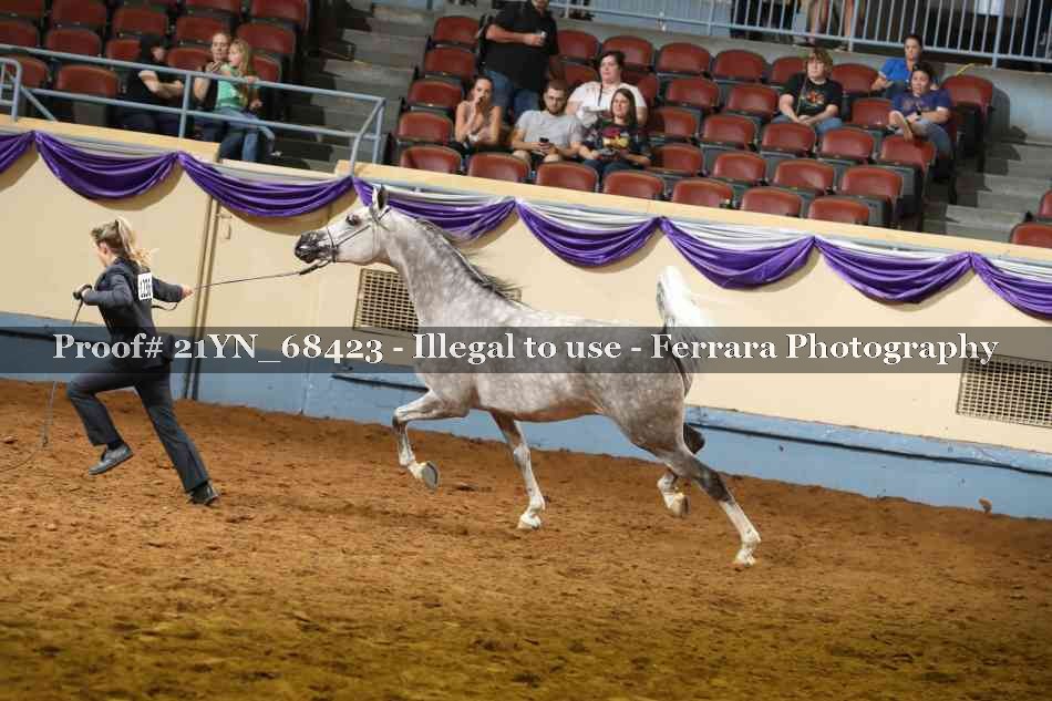 Proof 21YN_68423