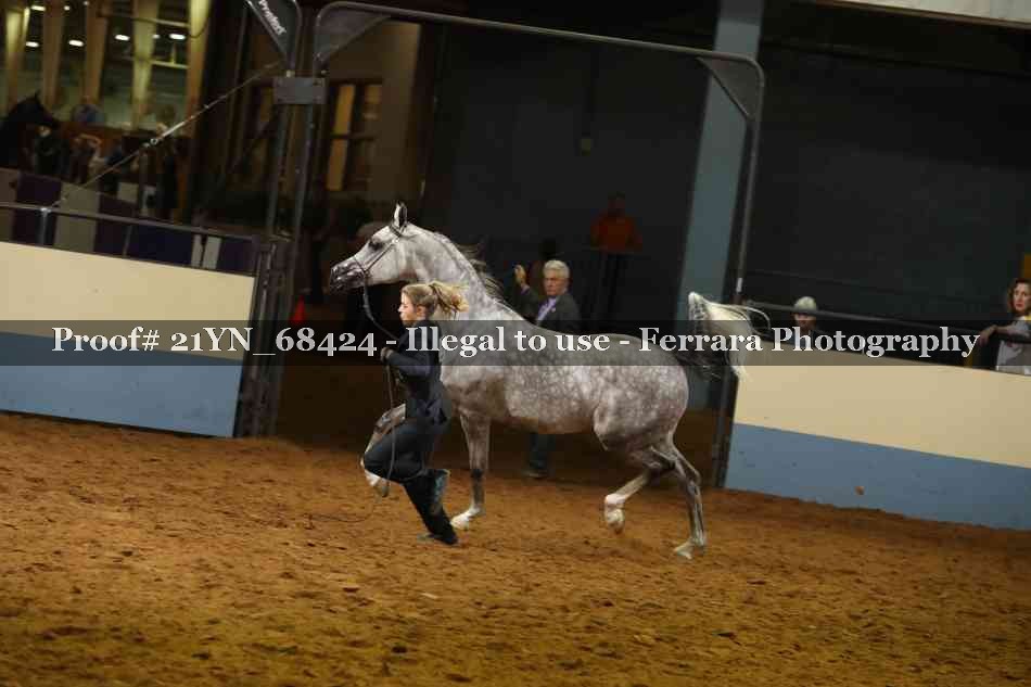 Proof 21YN_68424