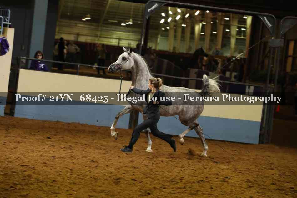 Proof 21YN_68425