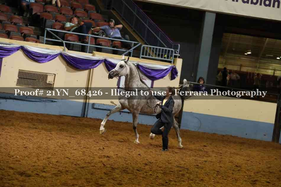 Proof 21YN_68426