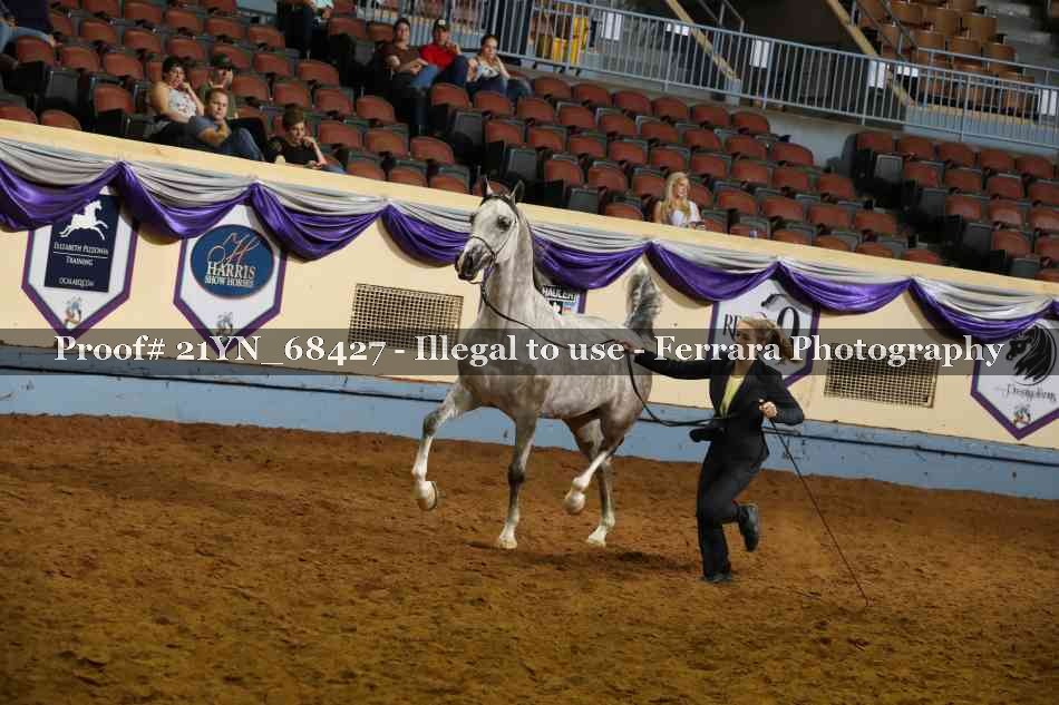 Proof 21YN_68427
