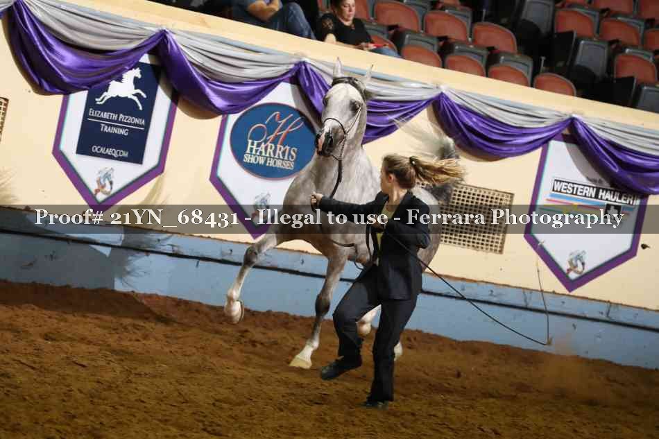 Proof 21YN_68431