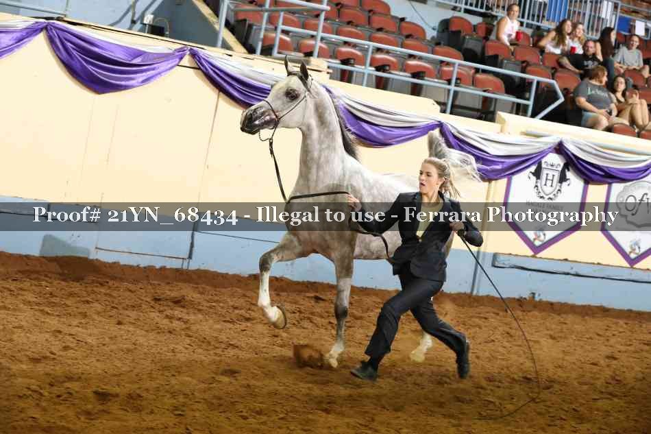 Proof 21YN_68434