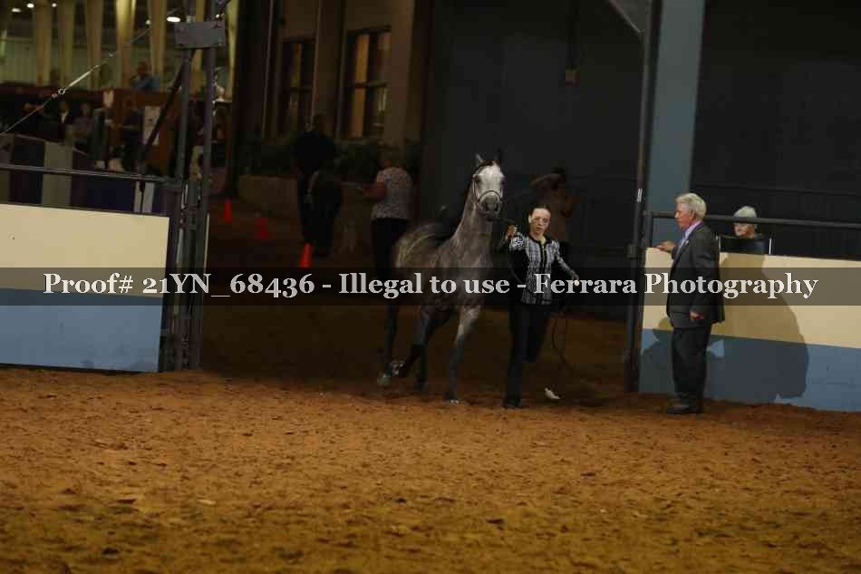 Proof 21YN_68436