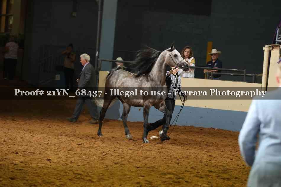 Proof 21YN_68437