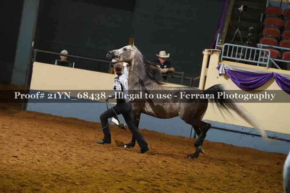 Proof 21YN_68438