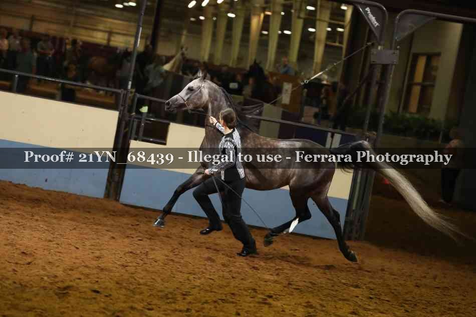 Proof 21YN_68439