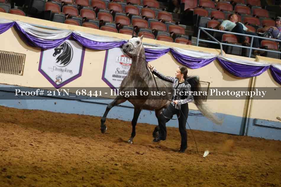 Proof 21YN_68441