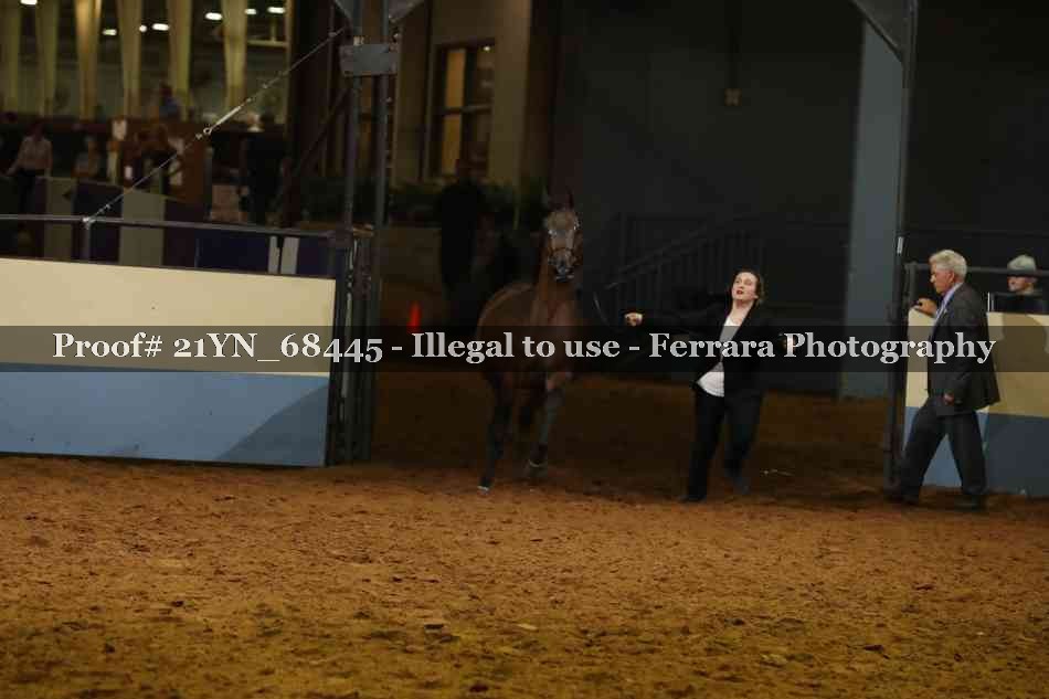 Proof 21YN_68445