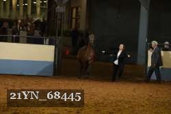 21YN_68445 proof