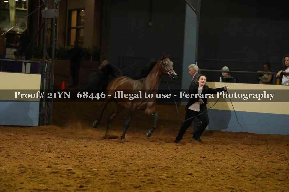 Proof 21YN_68446