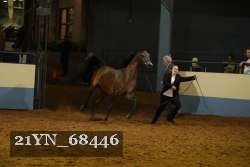 21YN_68446 proof