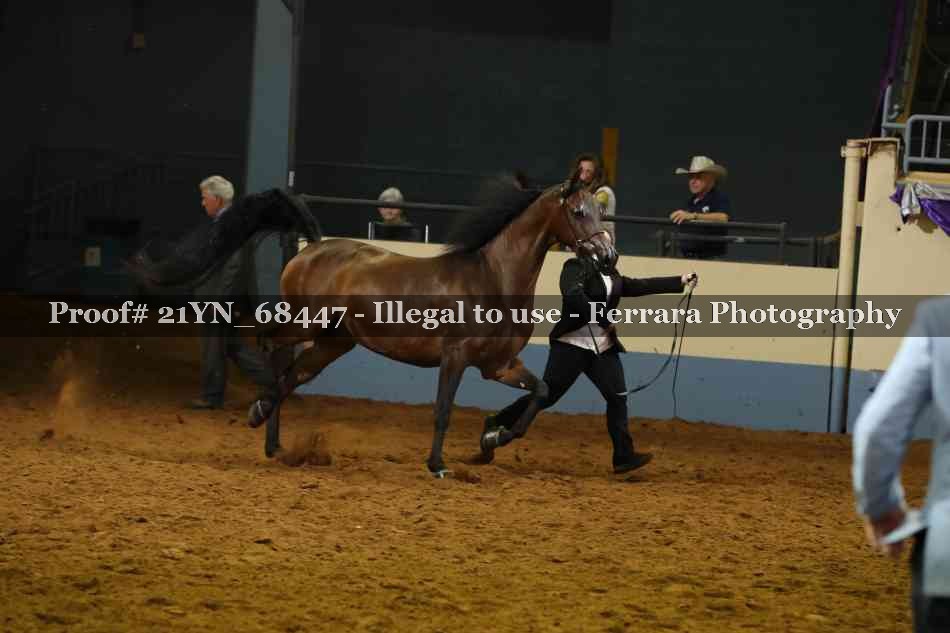 Proof 21YN_68447