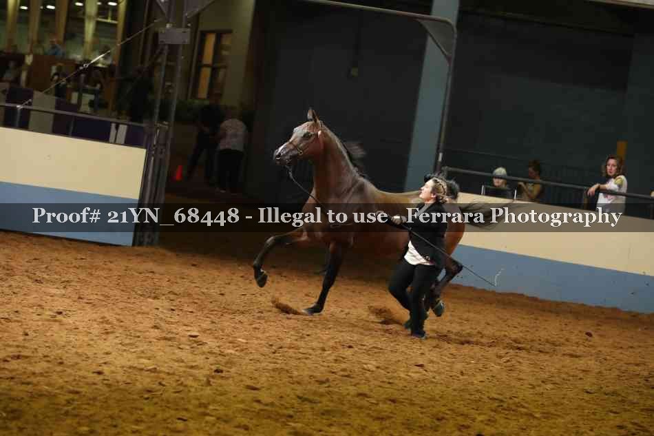 Proof 21YN_68448