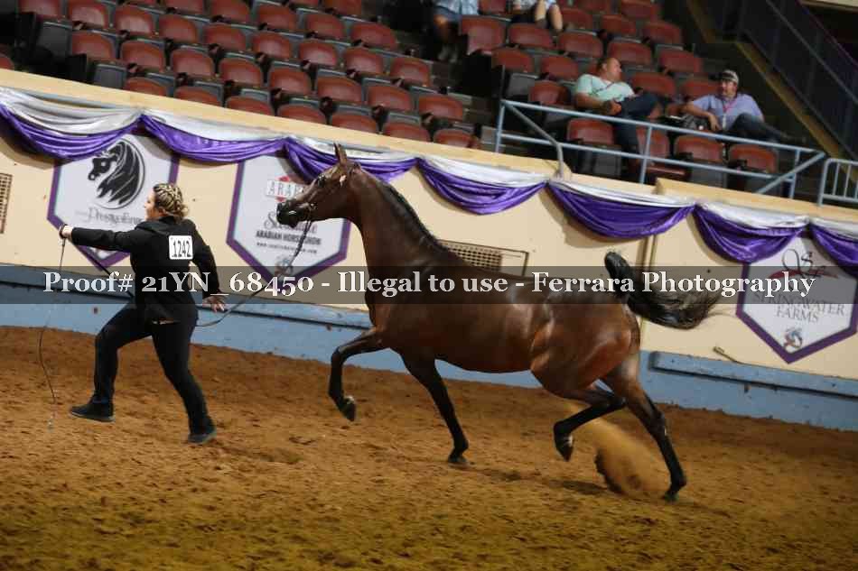 Proof 21YN_68450