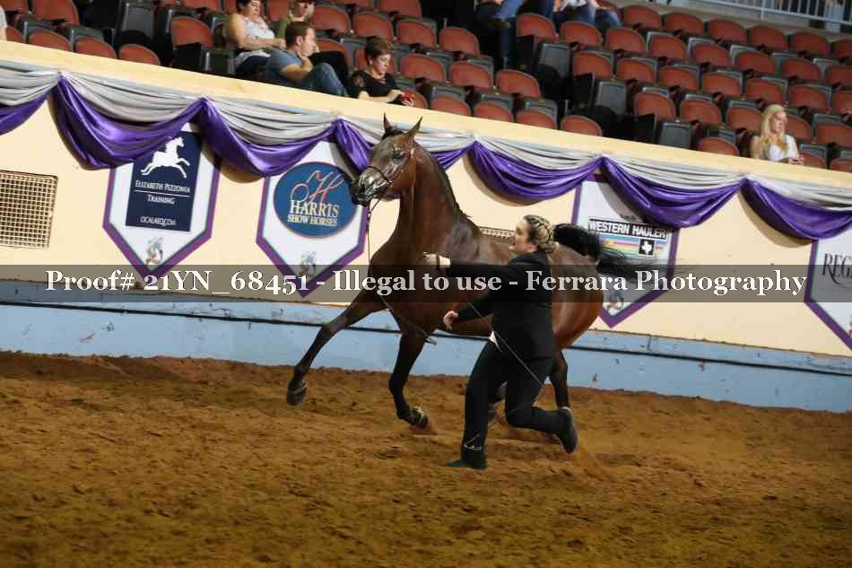 Proof 21YN_68451