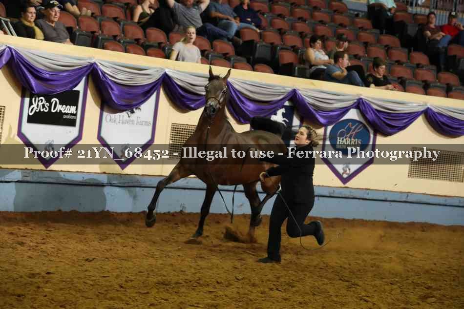 Proof 21YN_68452