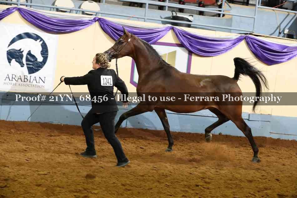 Proof 21YN_68456