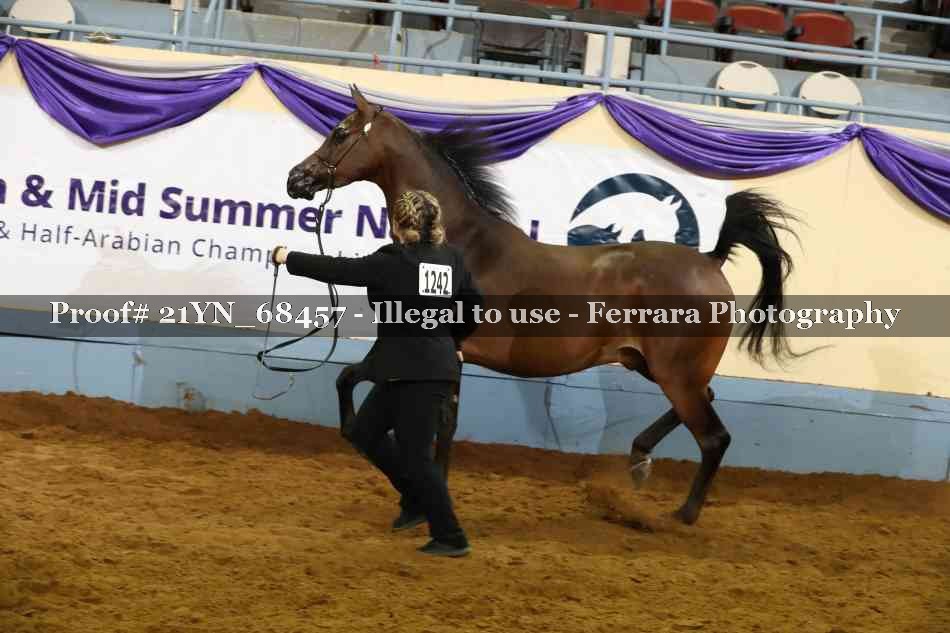 Proof 21YN_68457