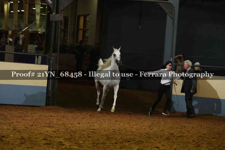 Proof 21YN_68458