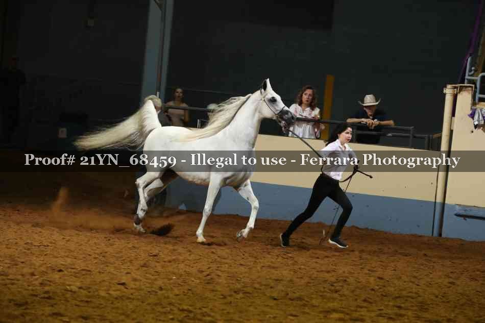 Proof 21YN_68459