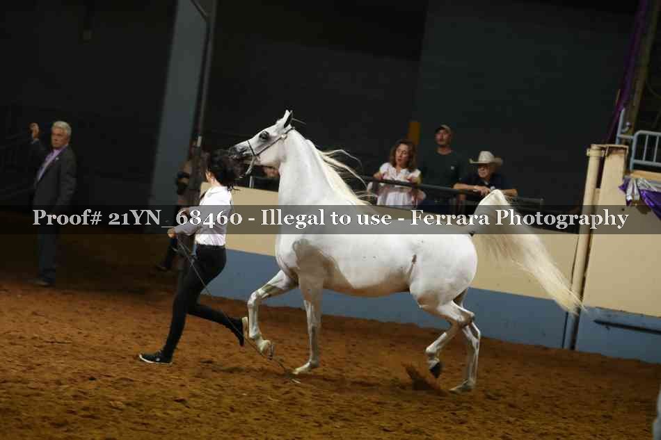 Proof 21YN_68460