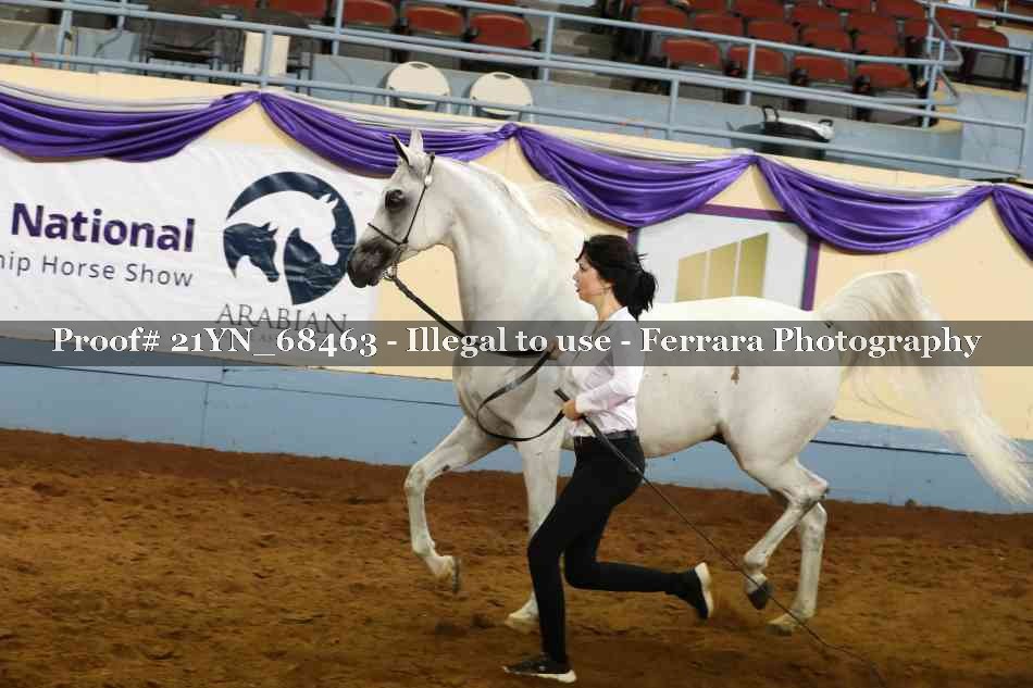 Proof 21YN_68463