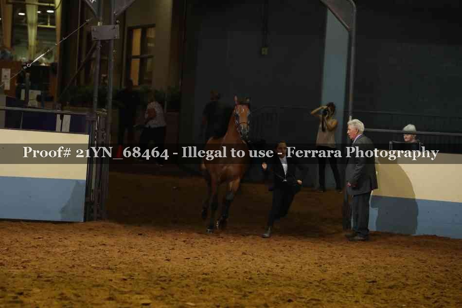 Proof 21YN_68464