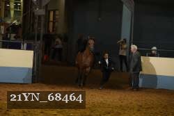 21YN_68464 proof