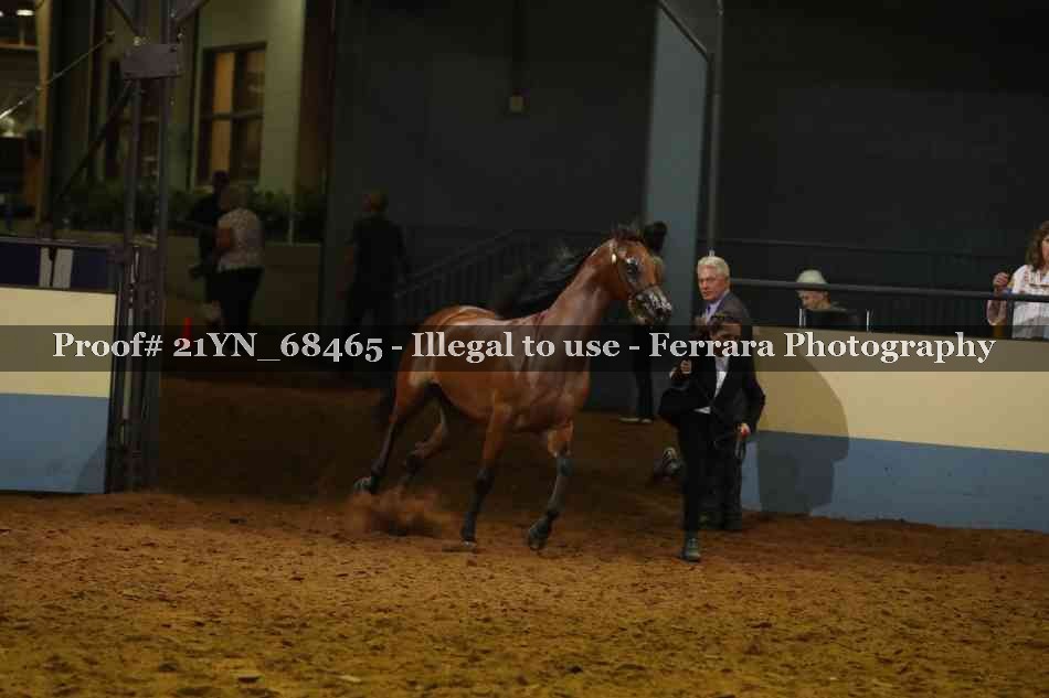Proof 21YN_68465