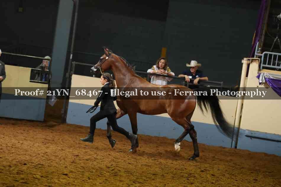 Proof 21YN_68467