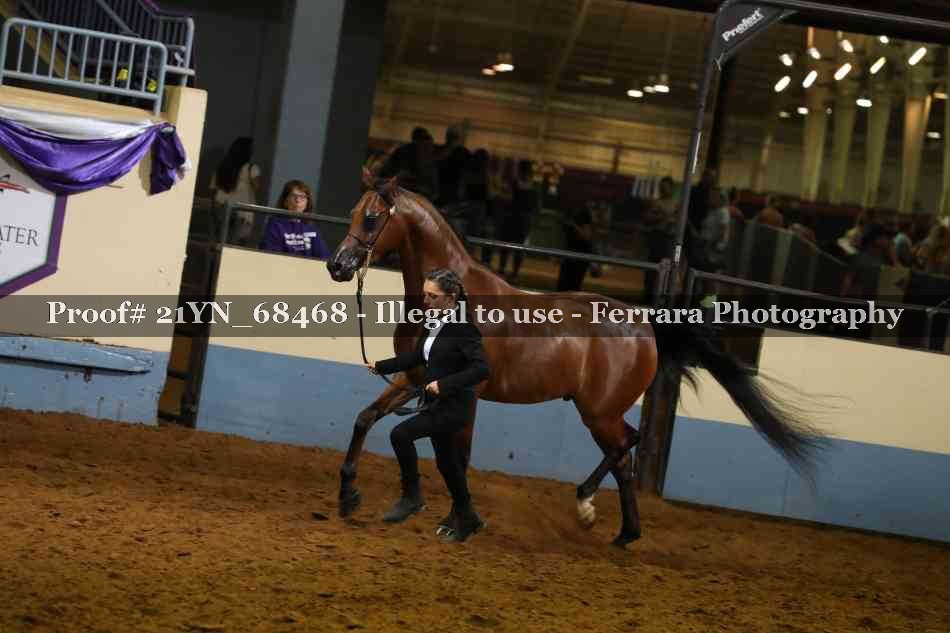 Proof 21YN_68468